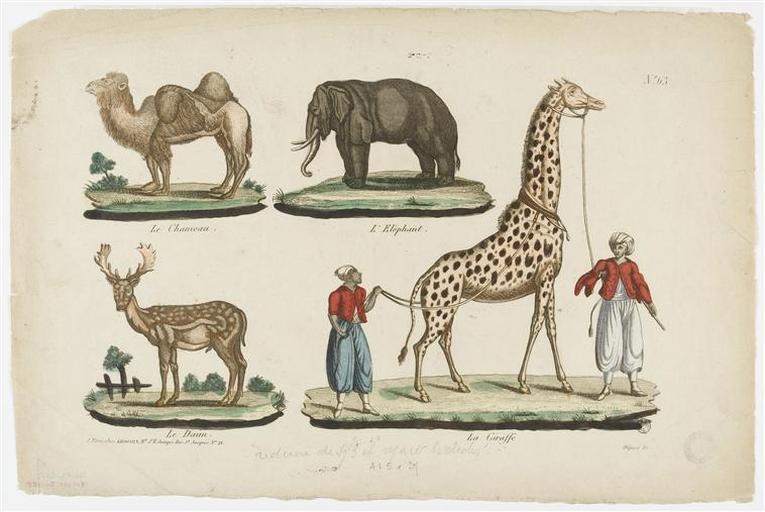 girafe in paris