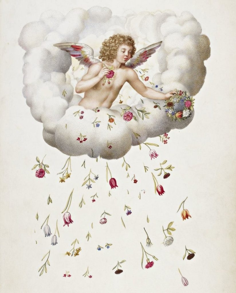 julie d'angennes